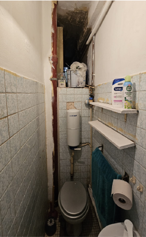 Photo des toilettes du projet Rousseau avant leur rénovation par l'architecte d'intérieur Marie Laumesfeld